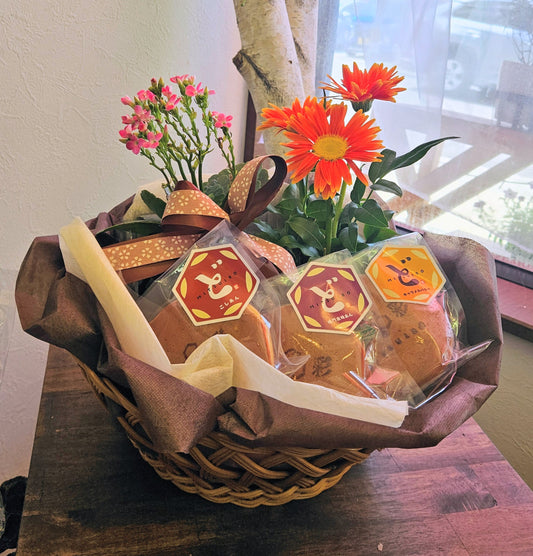 【鉢物】花蜜彩