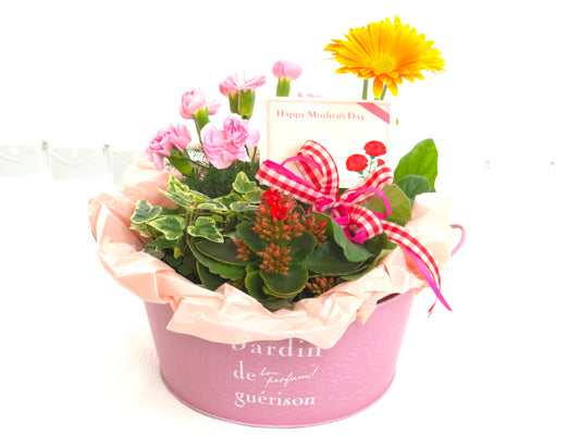 【生花】お花畑